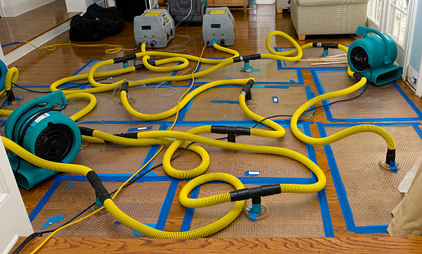 Professional Water Damage Restoration technician working in Lebanon, CT
